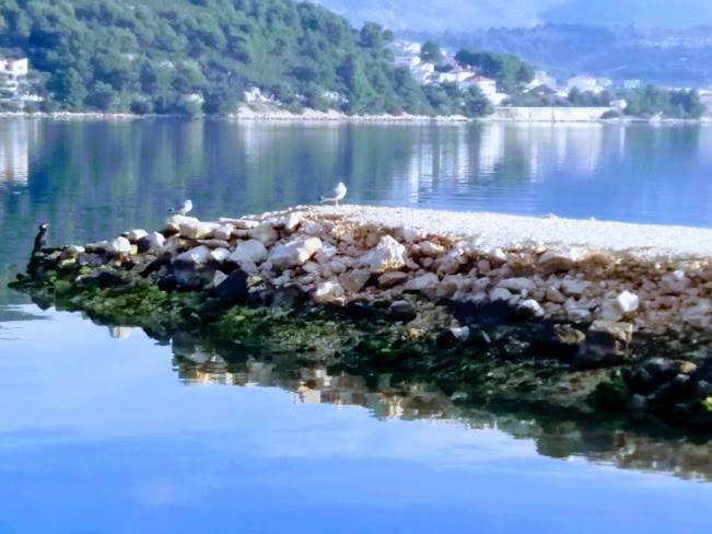 Apartmani Marta Marina Dış mekan fotoğraf
