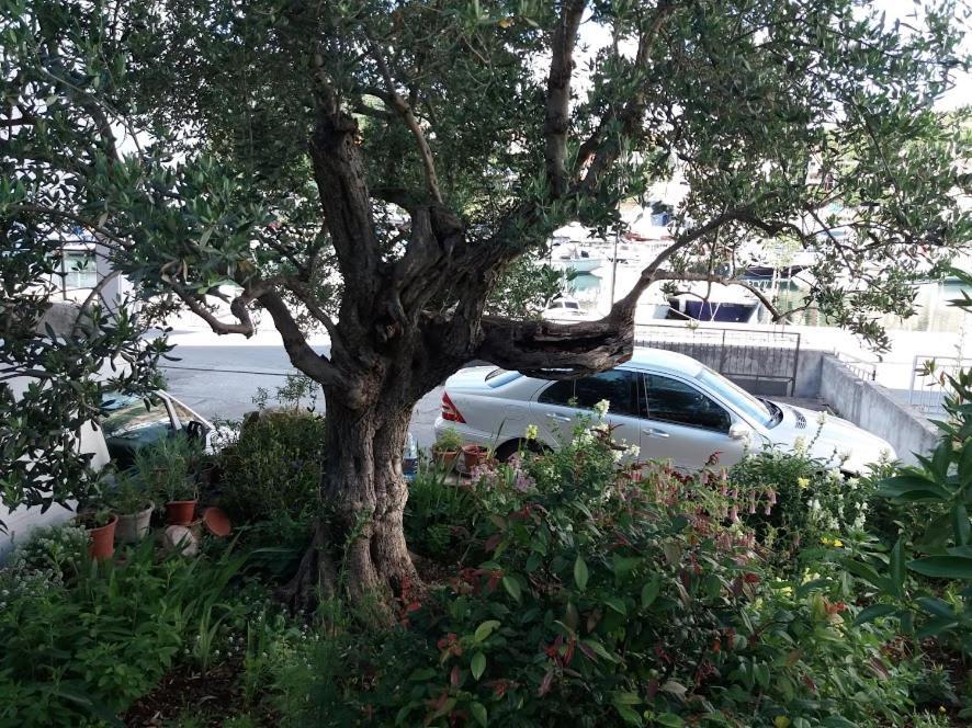 Apartmani Marta Marina Dış mekan fotoğraf